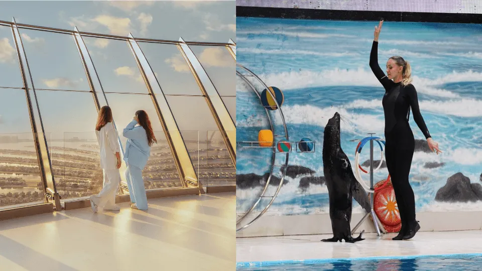 كومبو: عرض الدلافين والفقمة + ذا فيو في ذا بالم في ساعات غير الذروة - Image 1